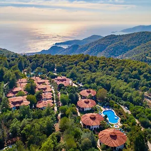 Montana Pine **** Ölüdeniz
